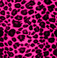 pink cheetah print4835 myspace layout