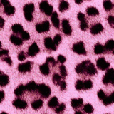 cheetah-print-background myspace layout