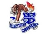 mesquite-wildcats myspace layout