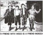 a-friend-with-weed-is-a-friend-indeed myspace layout