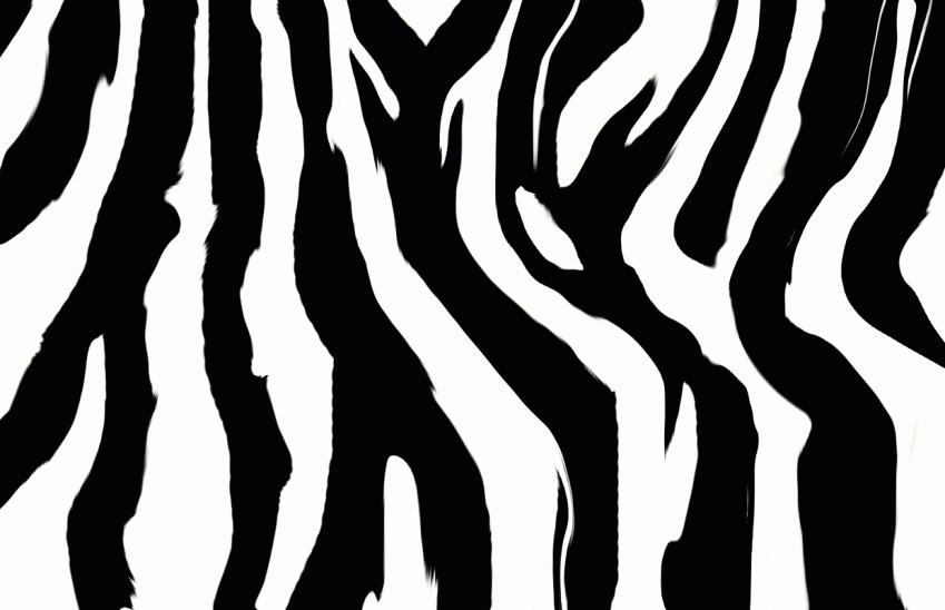 animal print background. Black and white zebra animal print