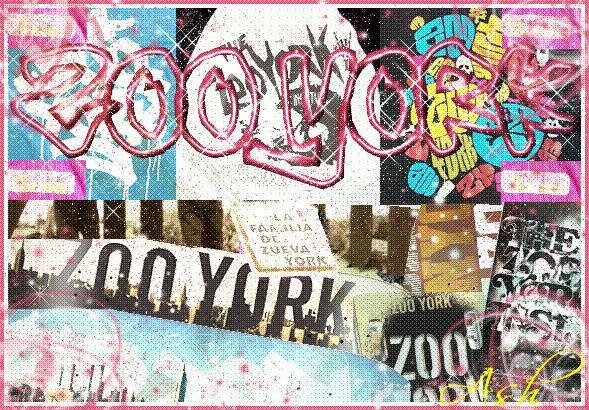 zoo-york myspace layout