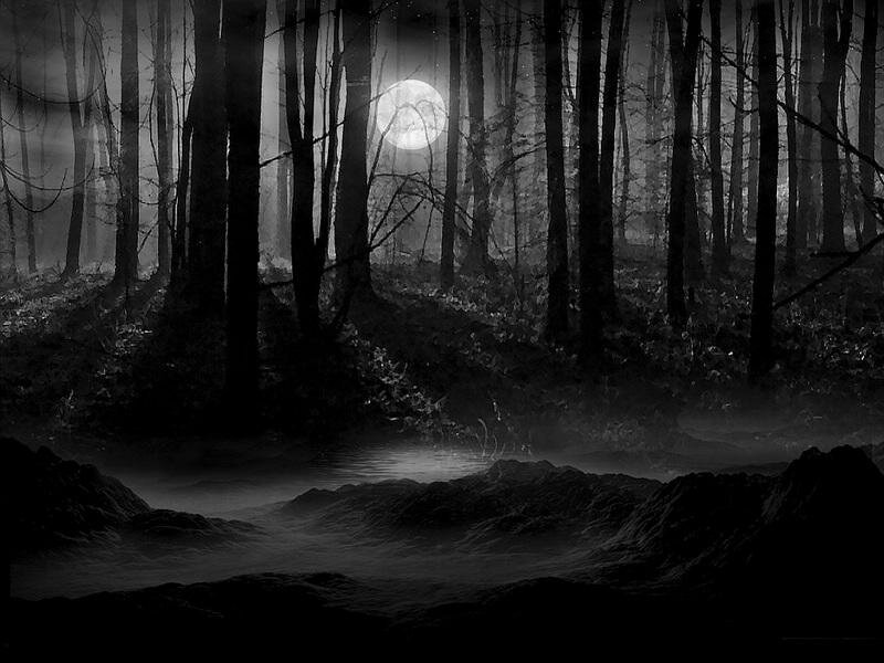 dark-forest998 myspace layout