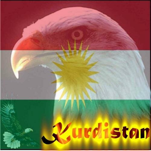 Kurdistan myspace layout