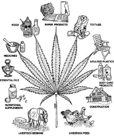 marijuana myspace layout