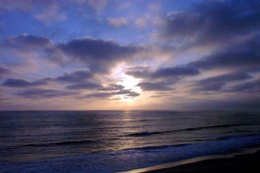 california-beach9964 myspace layout