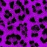 purple-animal-print myspace layout