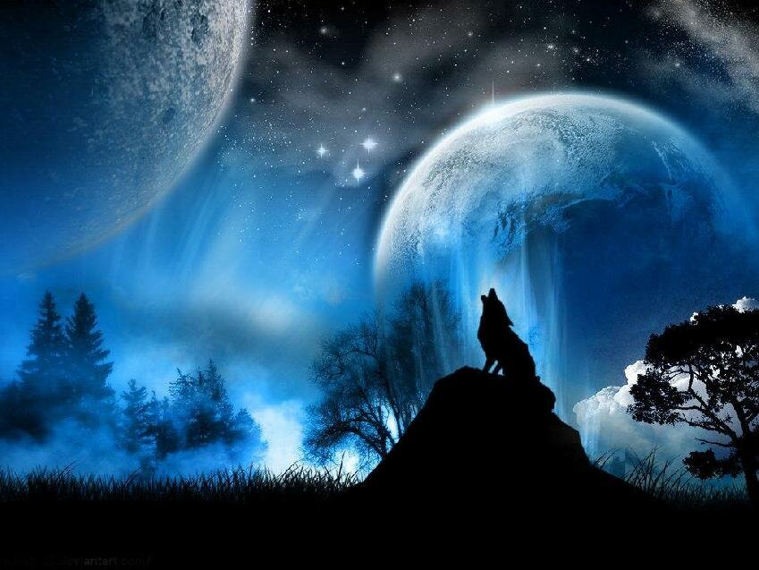 werewolf myspace layout